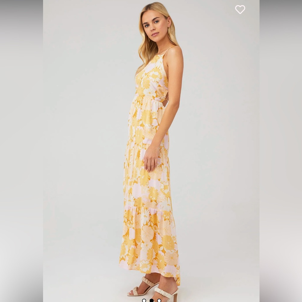 Brianna Maxi Dress Multi View 2